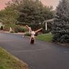 ellie_patrone